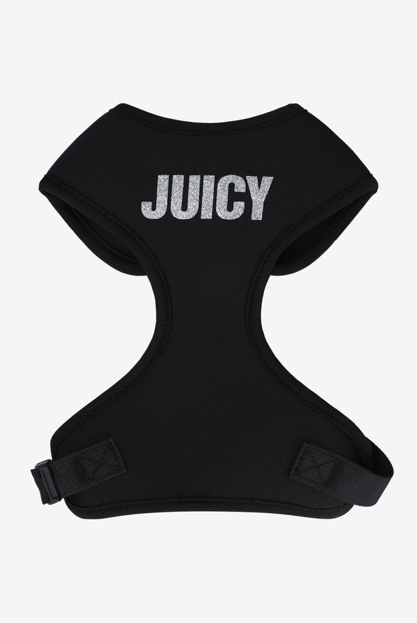 BLACK PET GLITTER HARNESS