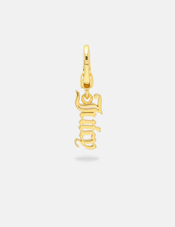 Displays the Gold 'Juicy' branded juicy charm 