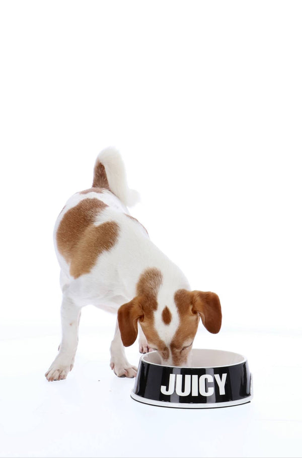 BLACK & WHITE JUICY PET BOWL